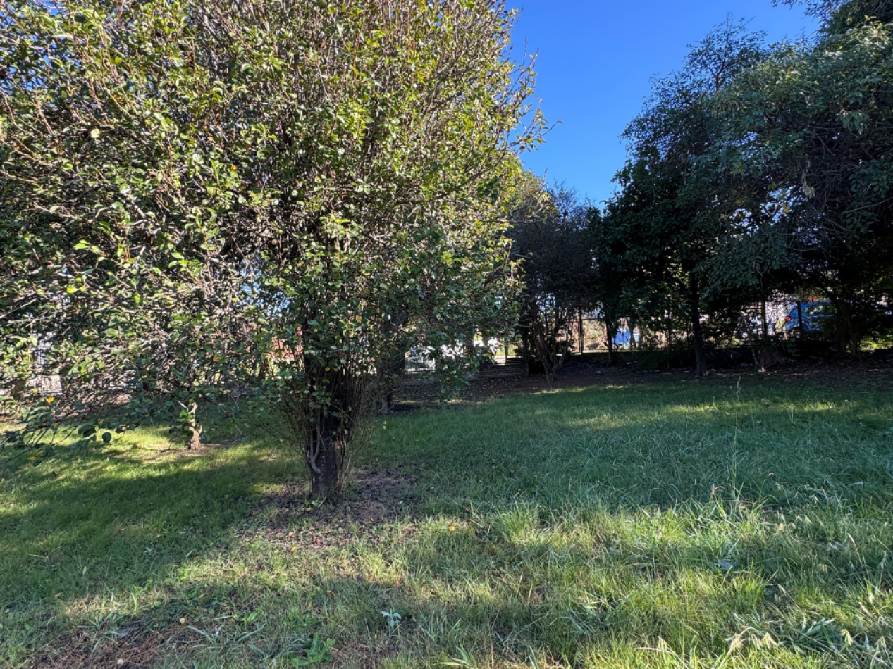 TERRENOS EN PARANA