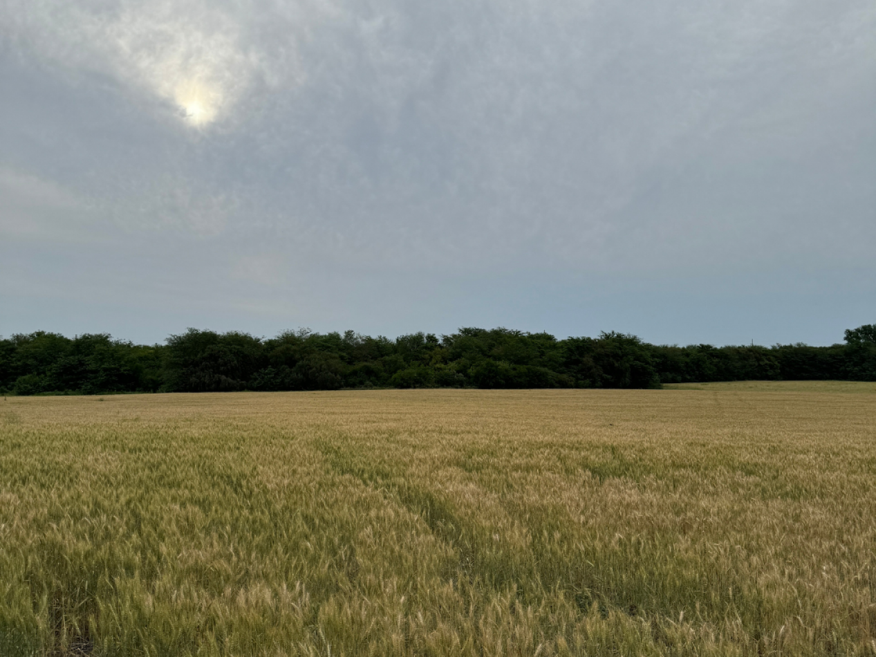 SE VENDE CAMPO PARANA/COLONIA AVELLANEDA