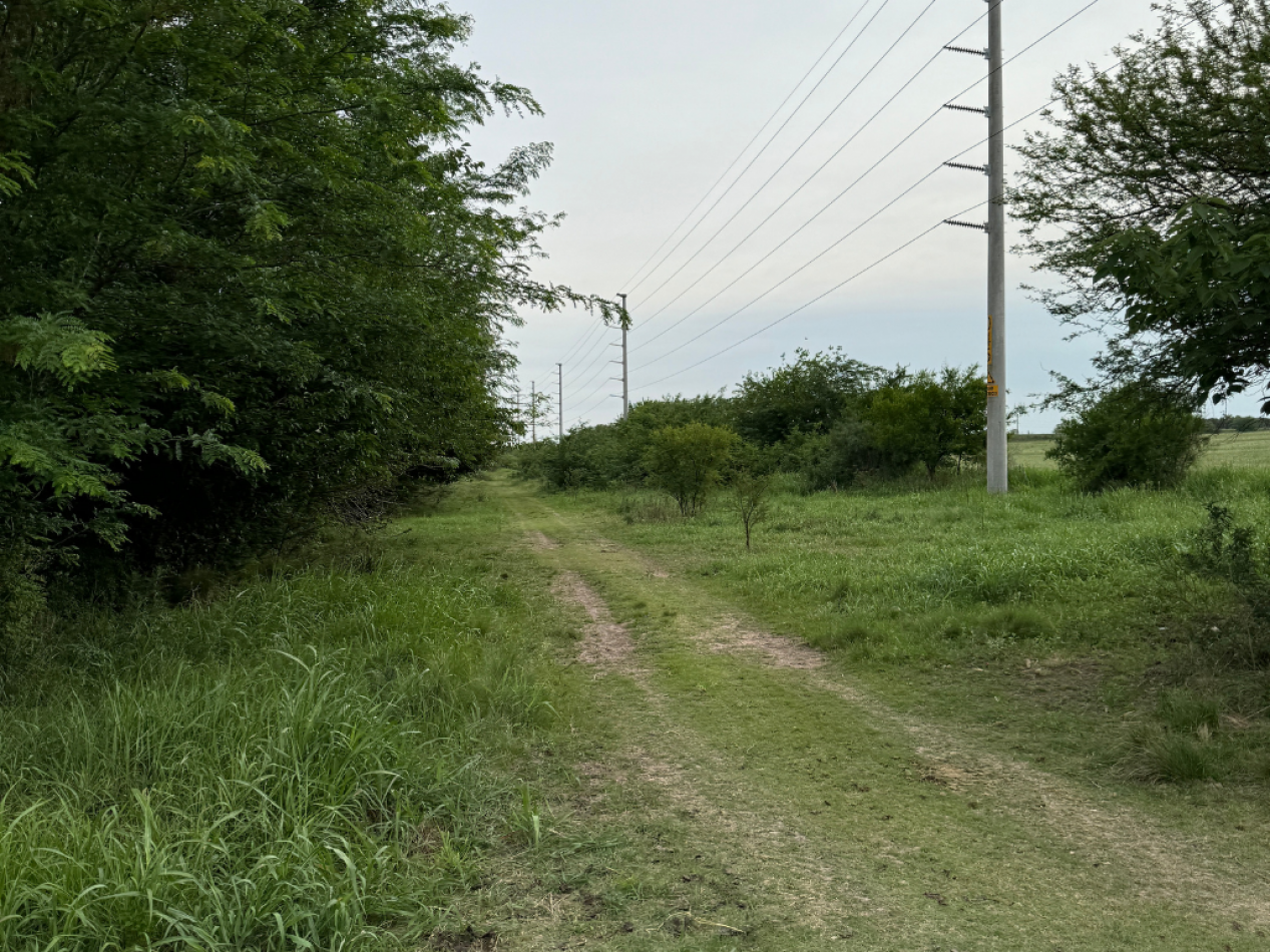 SE VENDE CAMPO PARANA/COLONIA AVELLANEDA