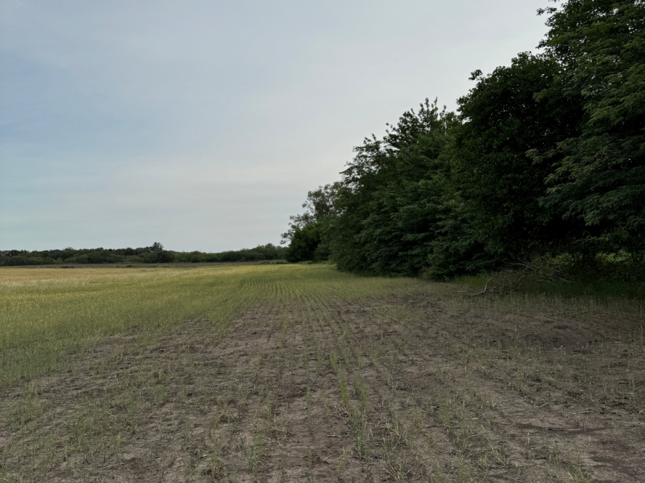 SE VENDE CAMPO PARANA/COLONIA AVELLANEDA