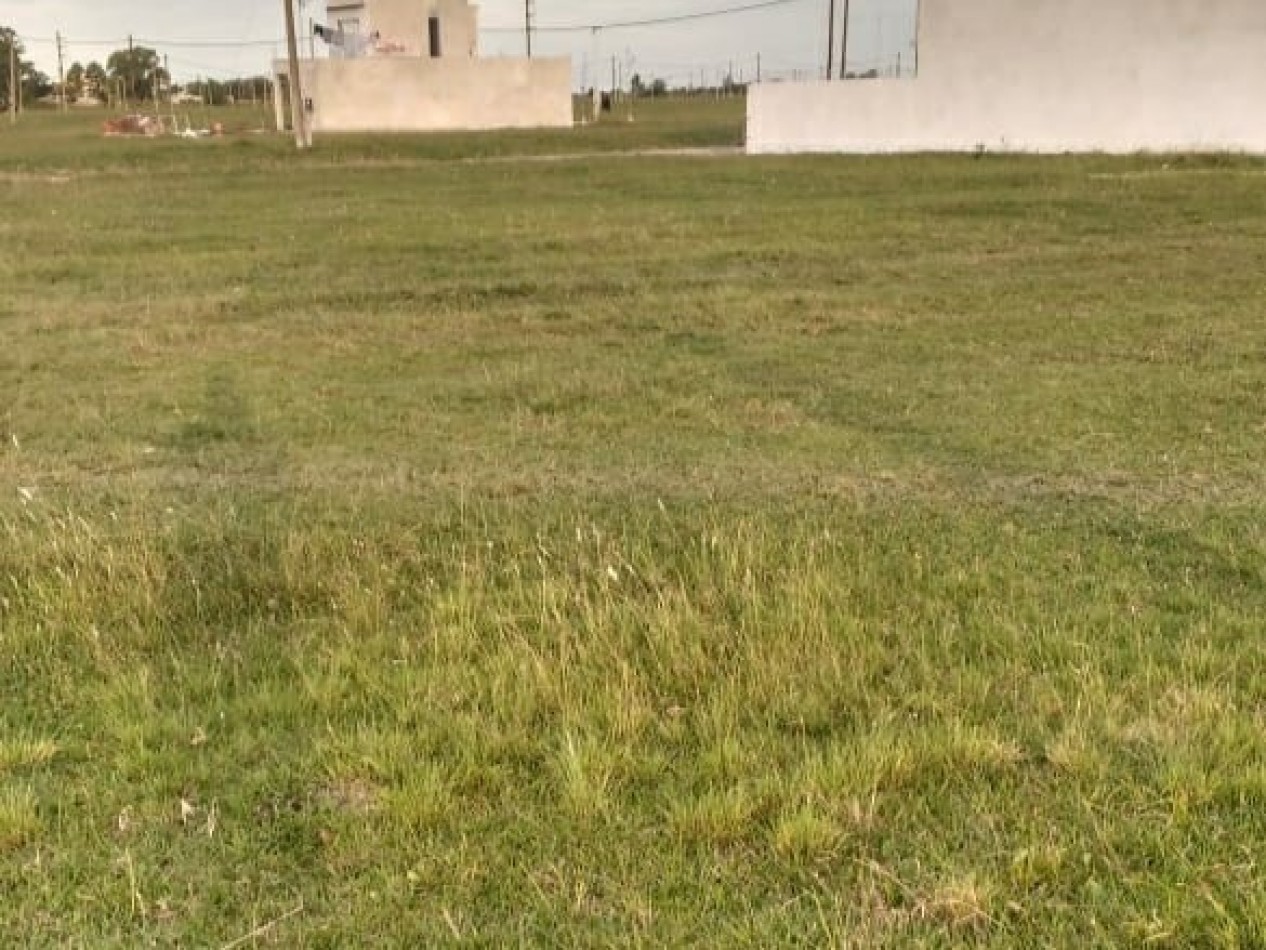 TERRENO DE 500 M2 MARIA GRANDE