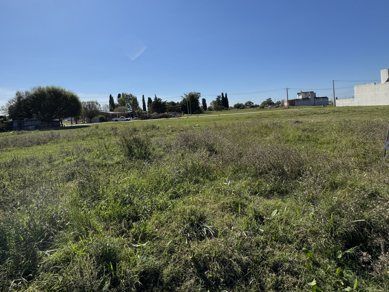 TERRENO DE 500 M2 MARIA GRANDE