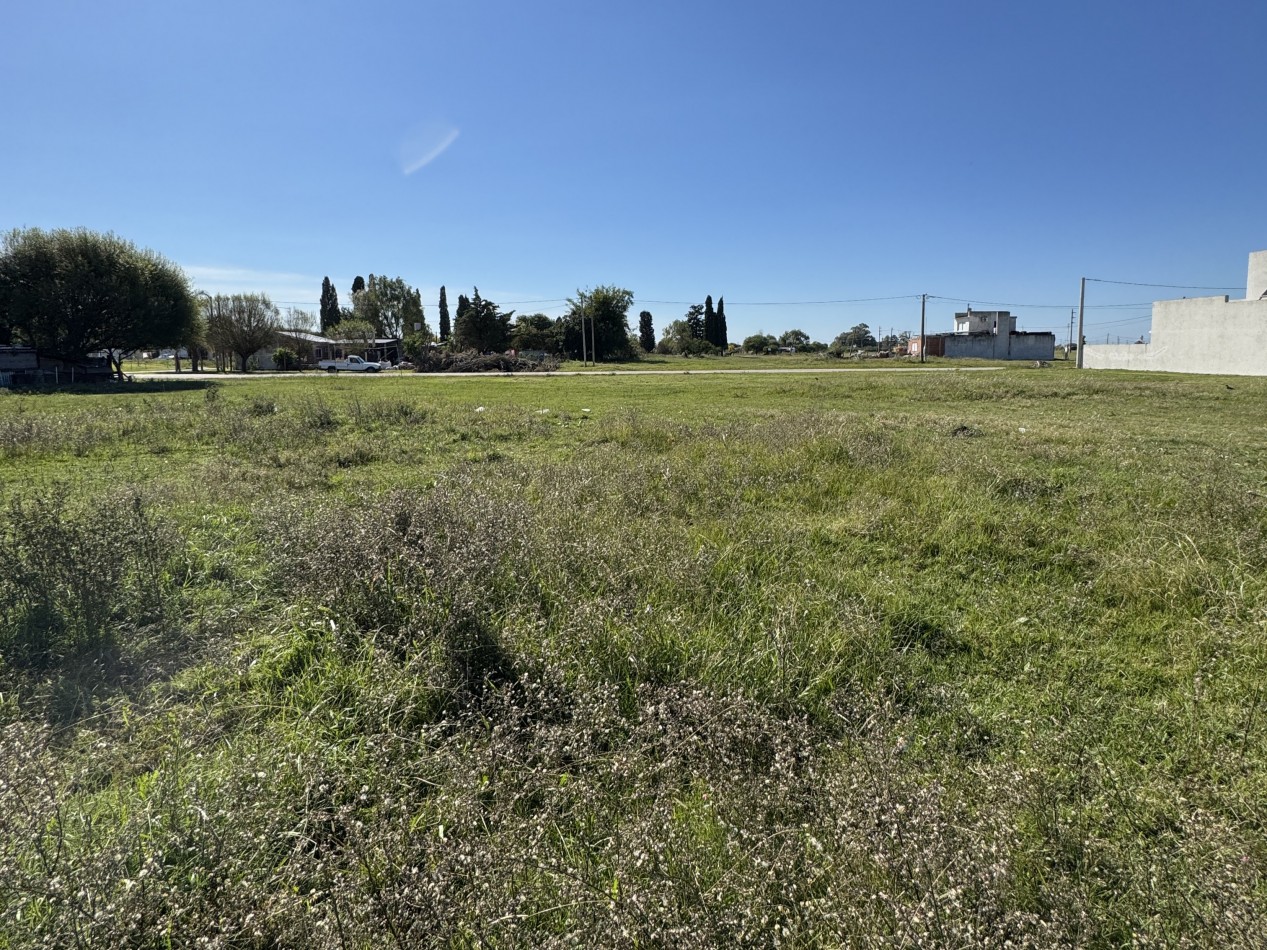 TERRENO DE 500 M2 MARIA GRANDE