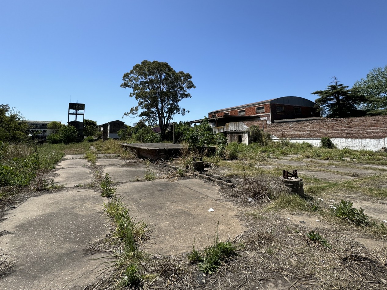 VENTA - AMPLIO TERRENO SOBRE AV. ALMAFUERTE