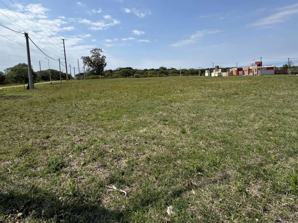 TERRENOS LISTOS PARA ESCRITURAR COLONIA AVELLANEDA
