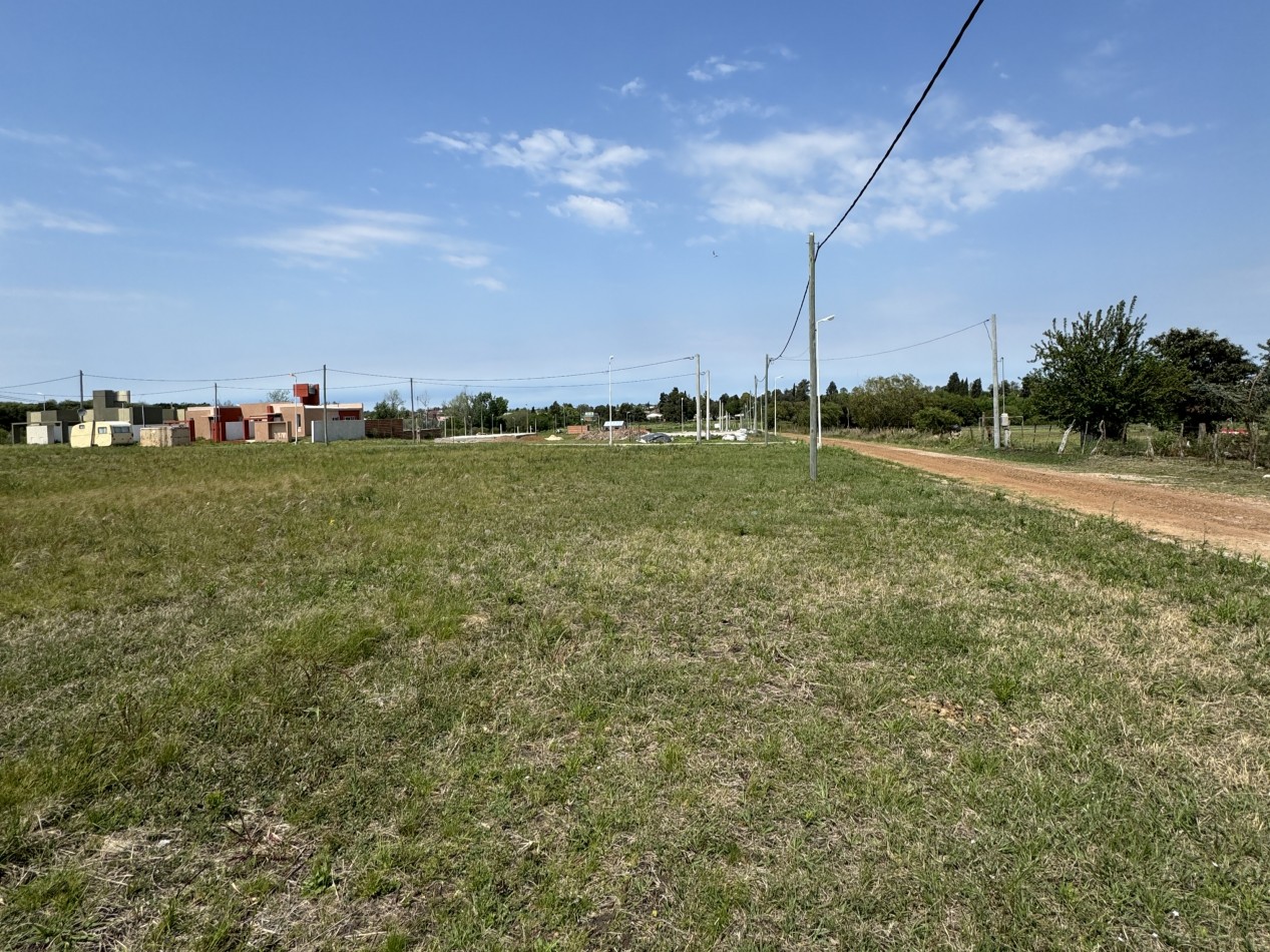 TERRENOS LISTOS PARA ESCRITURAR COLONIA AVELLANEDA