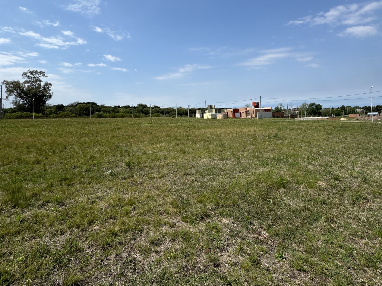 TERRENOS LISTOS PARA ESCRITURAR COLONIA AVELLANEDA