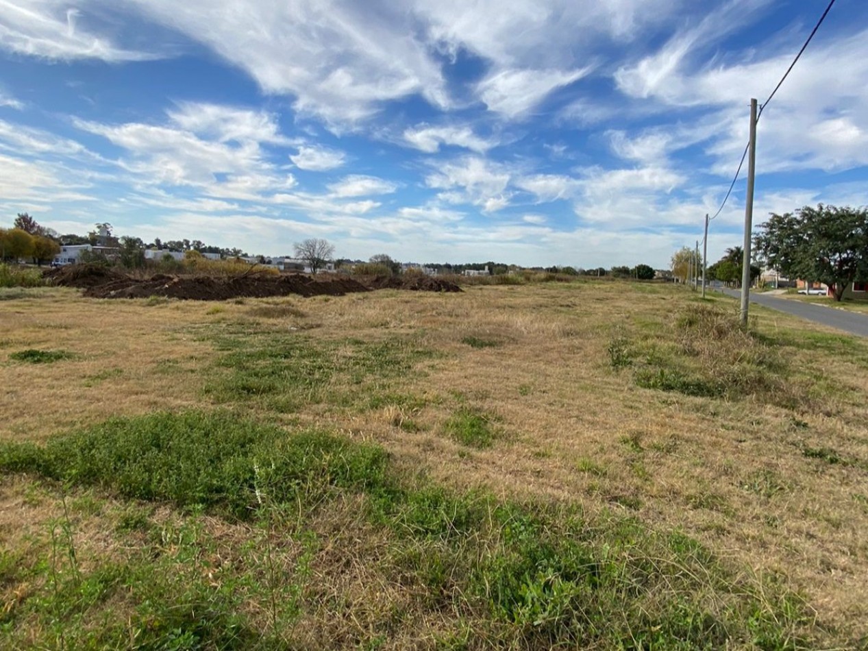 TERRENOS ZONA AV. DE LAS AMERICAS LISTOS PARA ESCRITURAR