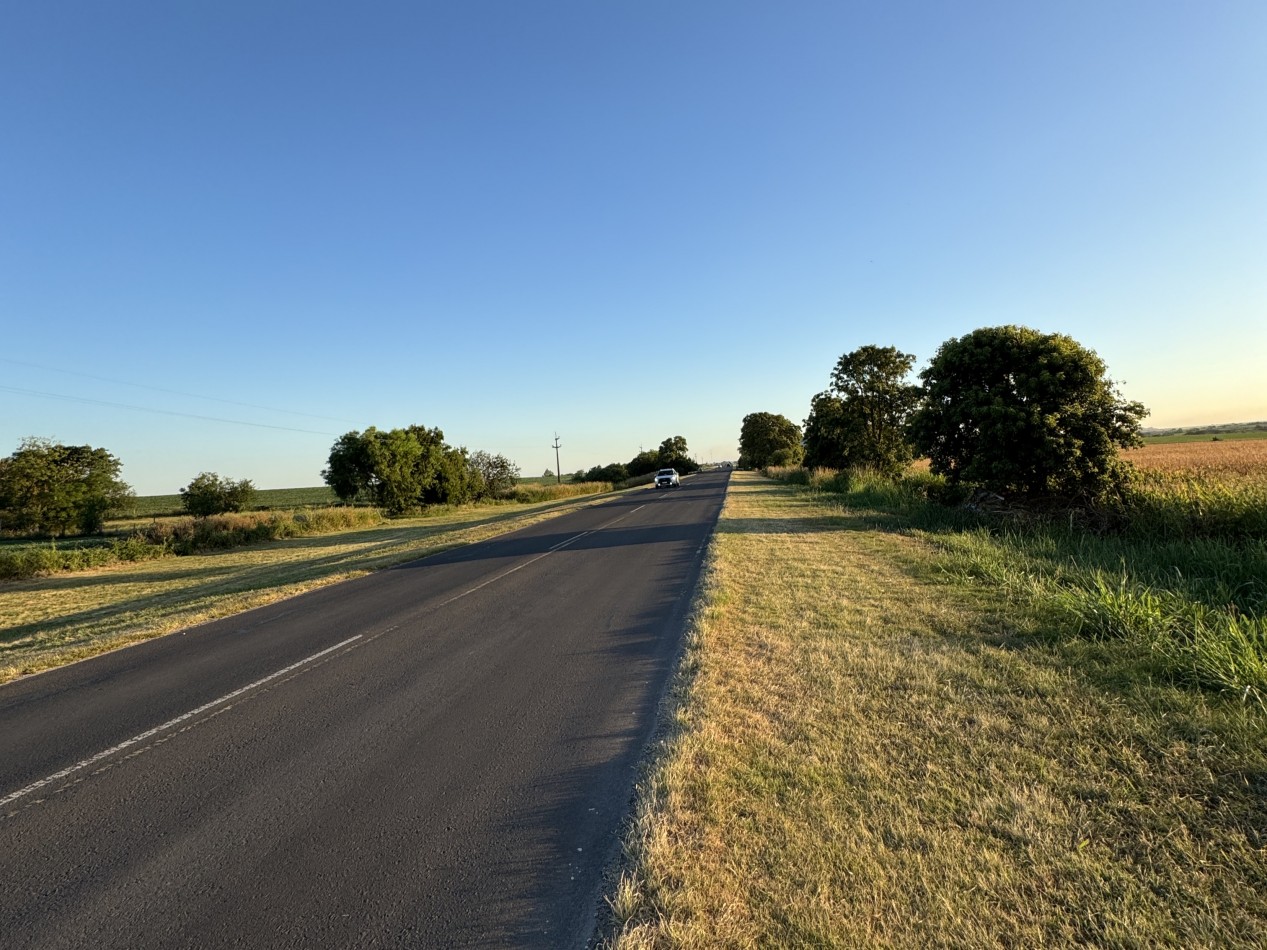 SE VENDE CAMPO SOBRE RUTA 11