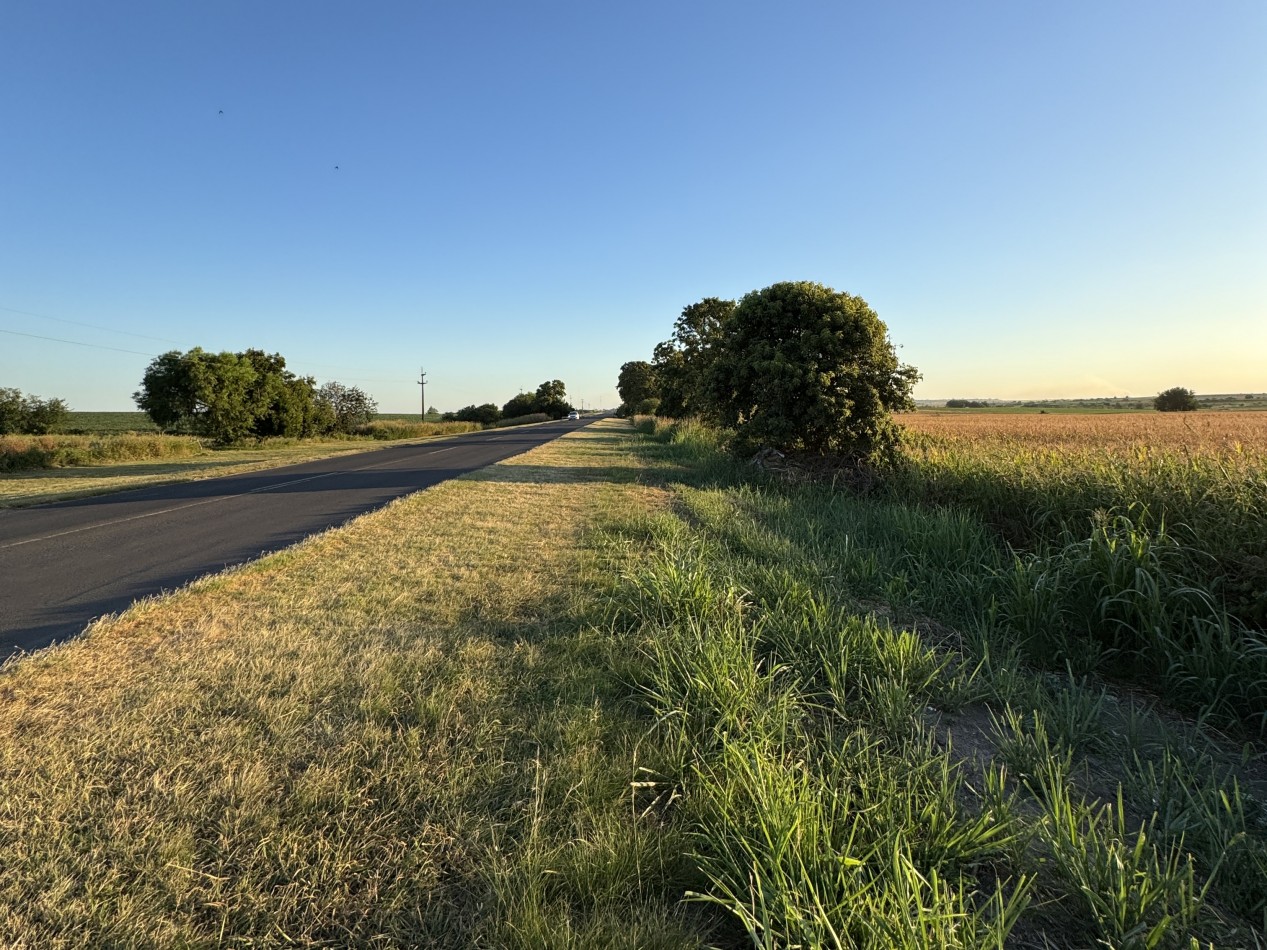 SE VENDE CAMPO SOBRE RUTA 11