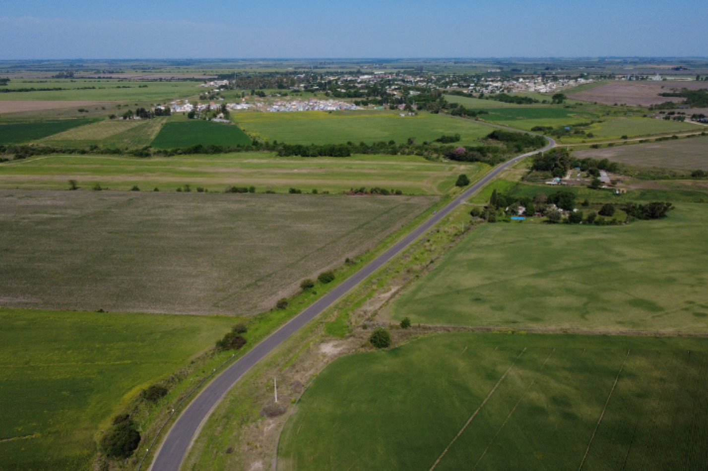 VENTA - CAMPO SOBRE RUTA EN SEGUI 