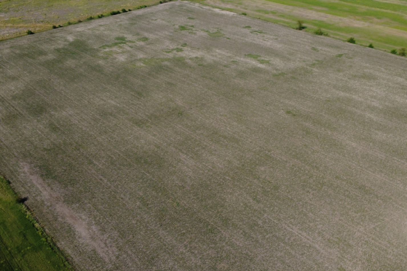 VENTA - CAMPO SOBRE RUTA EN SEGUI 