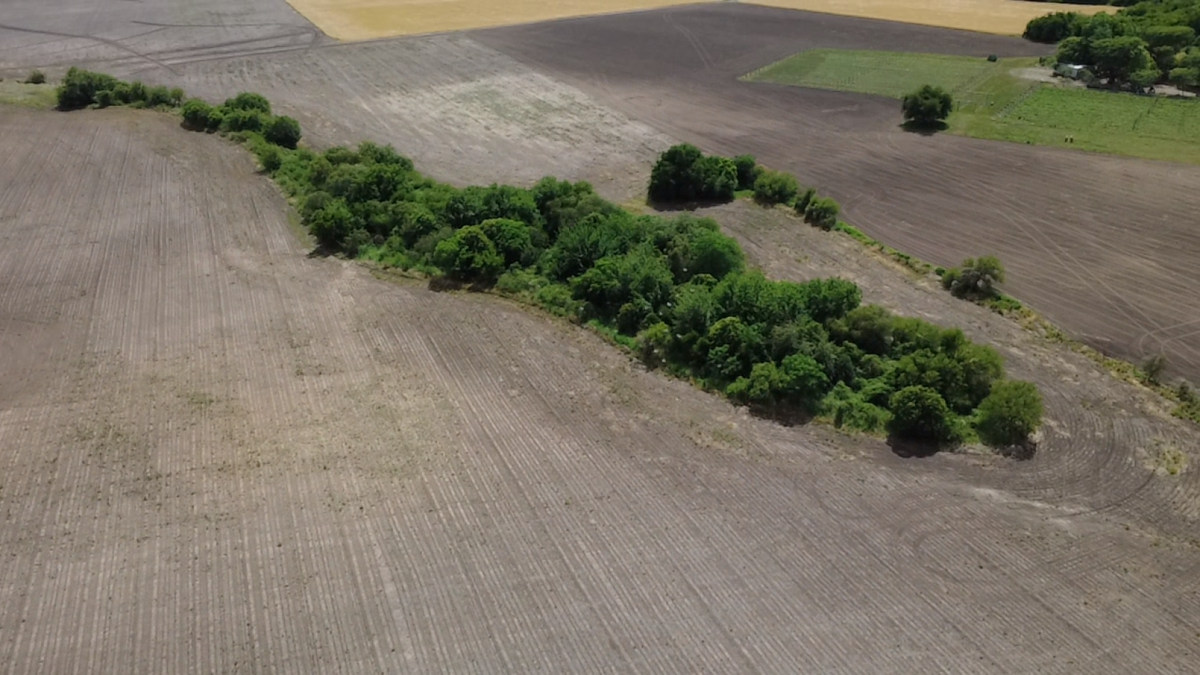Campo de 10 hectareas en Colonia Avellaneda - Zona Acceso Norte, ideal inversion cerca de Parana