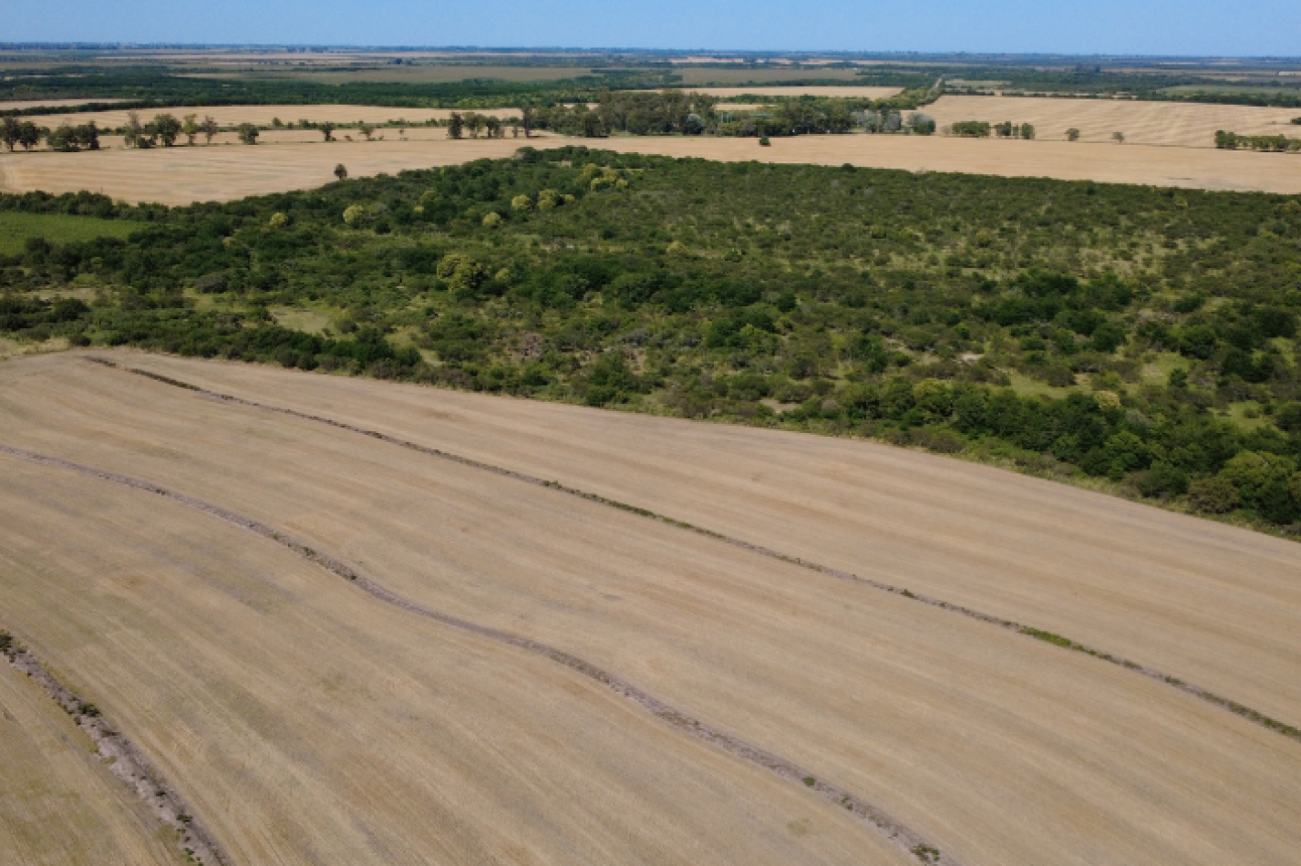 Campo de 119,5 hectareas productivas en Gobernador Sola