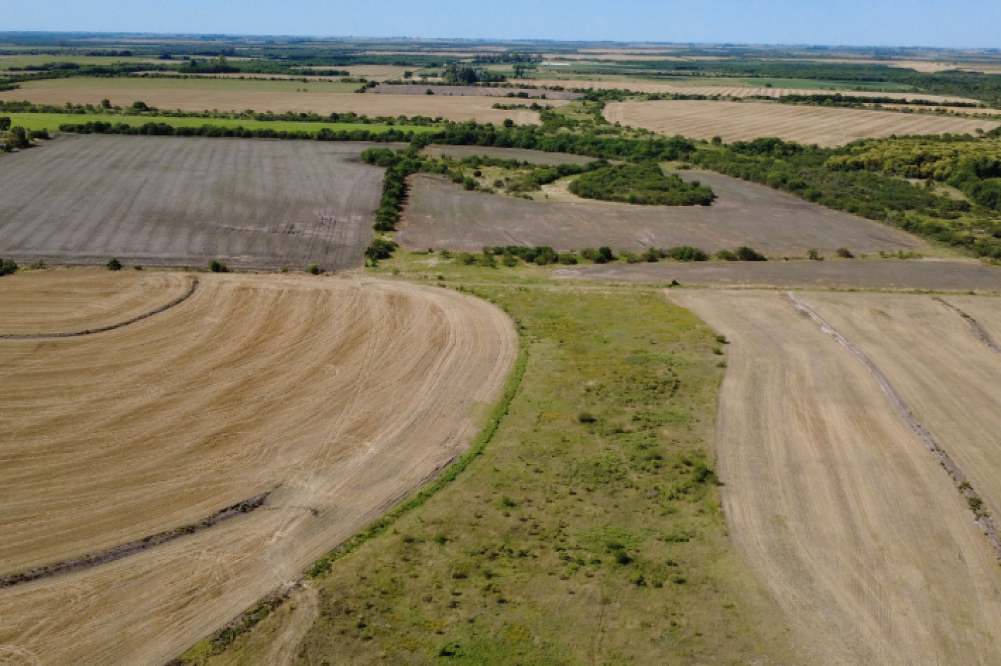 Campo de 119,5 hectareas productivas en Gobernador Sola
