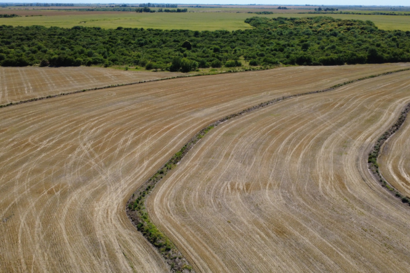 Campo de 119,5 hectareas productivas en Gobernador Sola