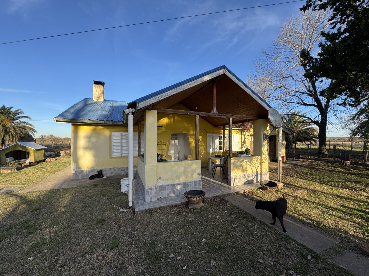 Campo agricola-ganadero de 76 hectareas con casa y mejoras en Mojones Norte