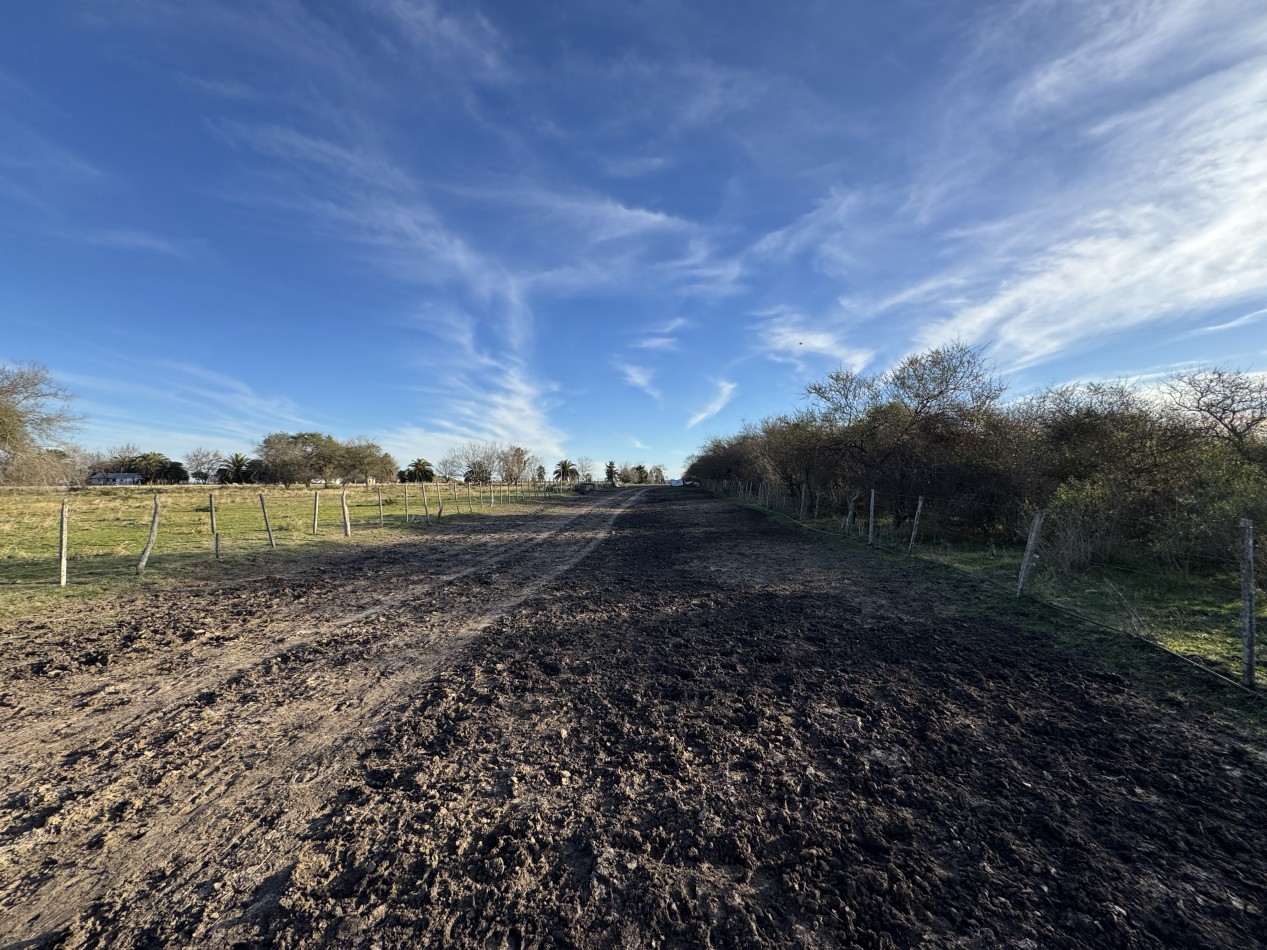 Campo agricola-ganadero de 76 hectareas con casa y mejoras en Mojones Norte