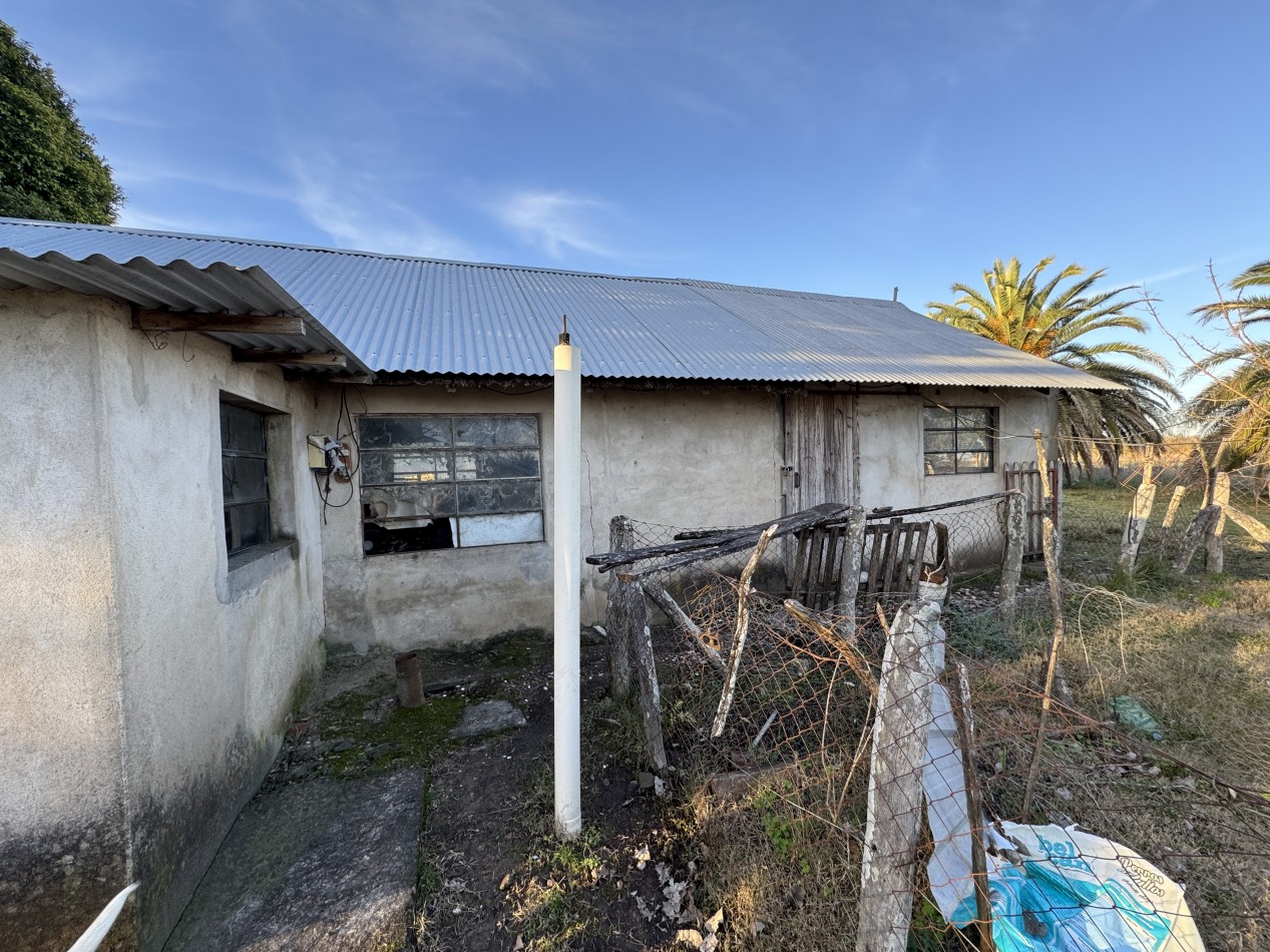 Campo agricola-ganadero de 76 hectareas con casa y mejoras en Mojones Norte