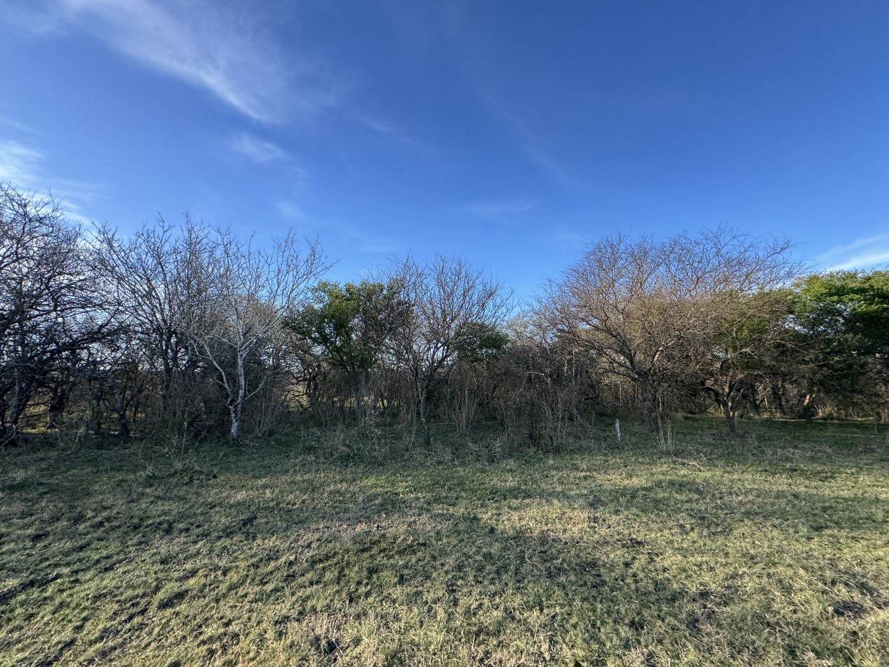Campo agricola-ganadero de 76 hectareas con casa y mejoras en Mojones Norte