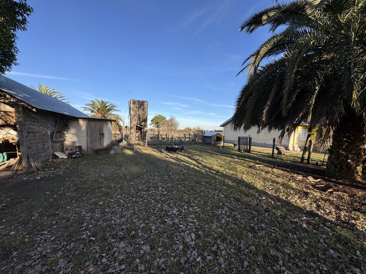 Campo agricola-ganadero de 76 hectareas con casa y mejoras en Mojones Norte