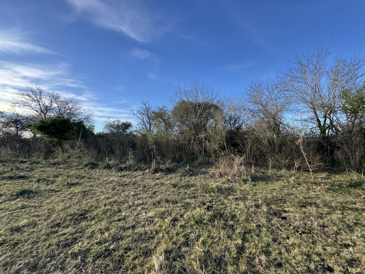 Campo agricola-ganadero de 76 hectareas con casa y mejoras en Mojones Norte