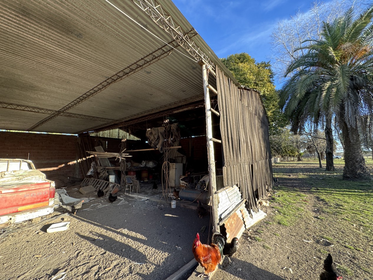 Campo agricola-ganadero de 76 hectareas con casa y mejoras en Mojones Norte
