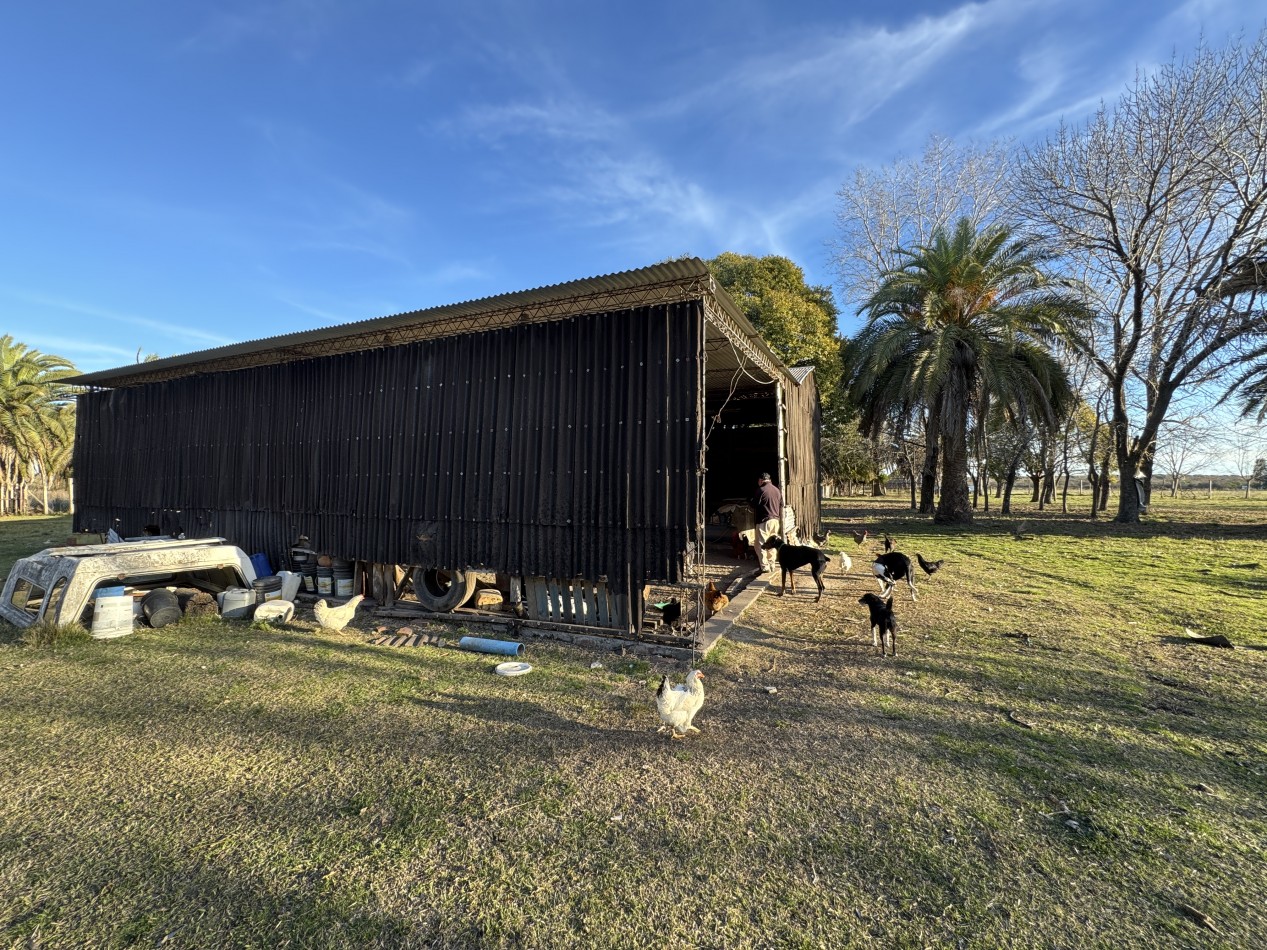 Campo agricola-ganadero de 76 hectareas con casa y mejoras en Mojones Norte