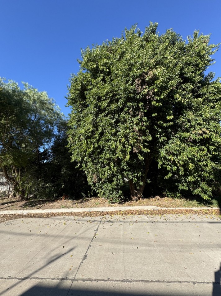 Terrenos en Parana listos para escriturar cerca de Av. Jorge Newbery - Ideal inversion o vivienda