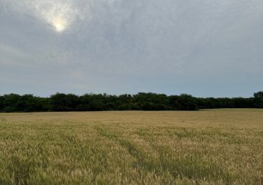 SE VENDE CAMPO PARANA/COLONIA AVELLANEDA