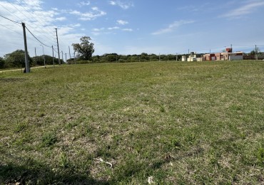 TERRENOS LISTOS PARA ESCRITURAR COLONIA AVELLANEDA