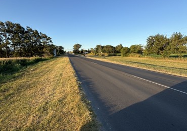 SE VENDE CAMPO SOBRE RUTA 11