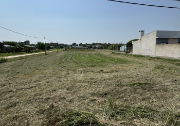 SE VENDE TERRENO EN GRAL. ALVEAR