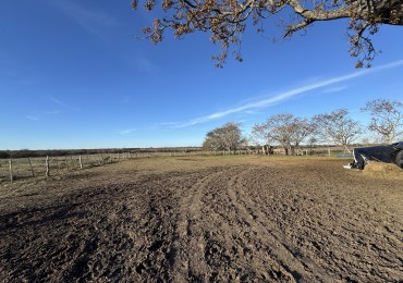 Campo agricola-ganadero de 76 hectareas con casa y mejoras en Mojones Norte