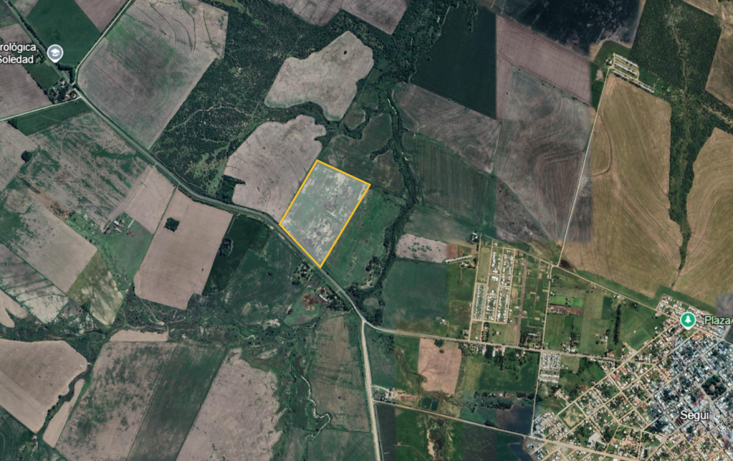 VENTA - CAMPO SOBRE RUTA EN SEGUI 