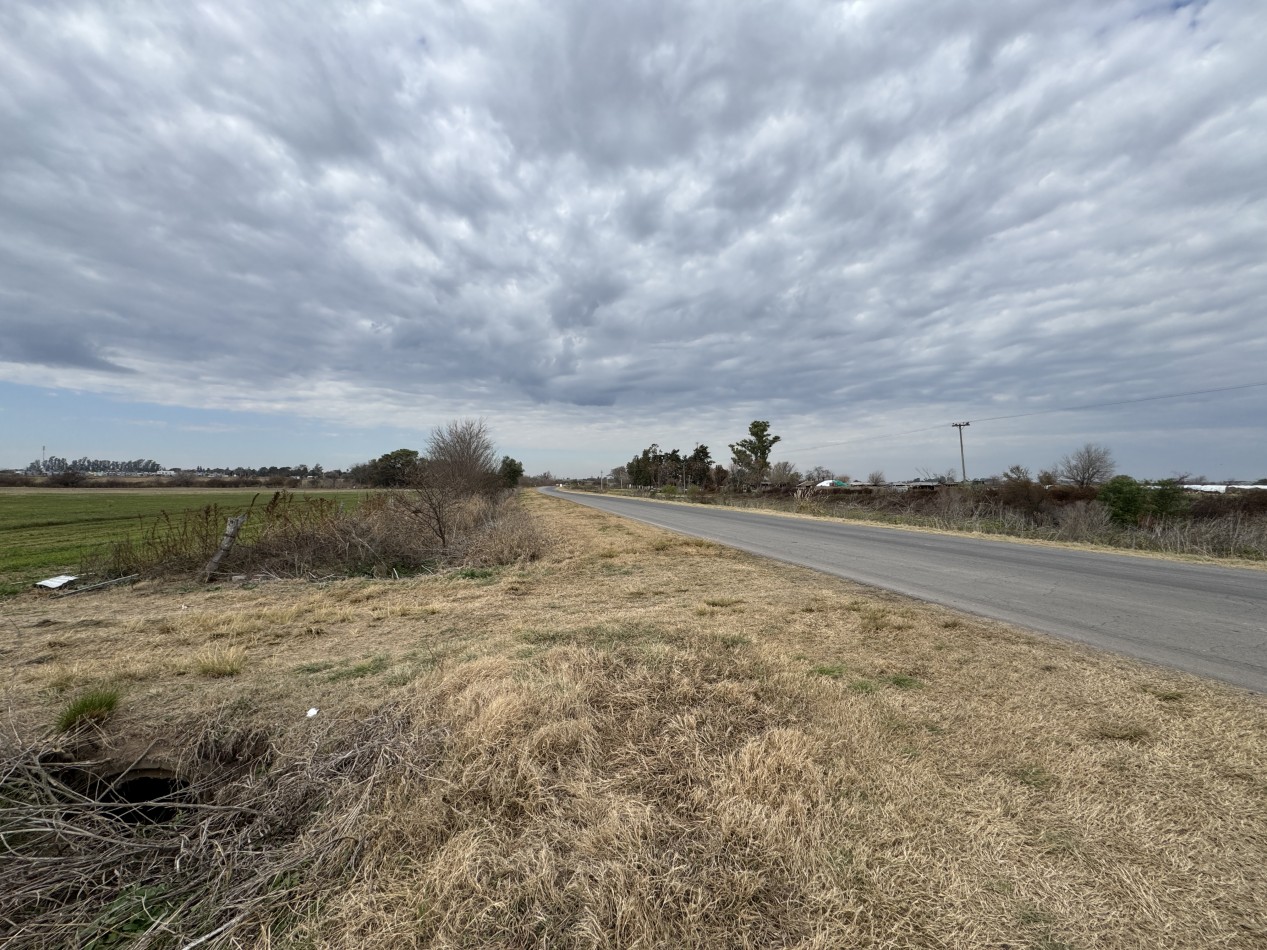 VENTA - CAMPO SOBRE RUTA EN SEGUI 