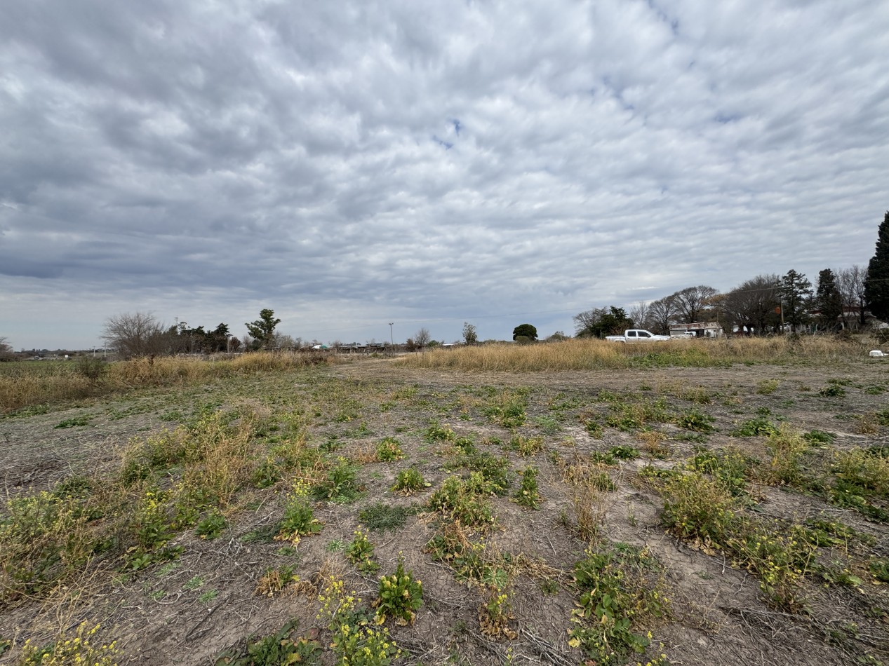 VENTA - CAMPO SOBRE RUTA EN SEGUI 