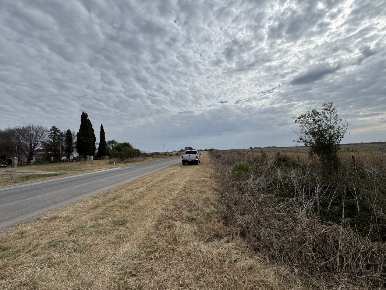 VENTA - CAMPO SOBRE RUTA EN SEGUI 