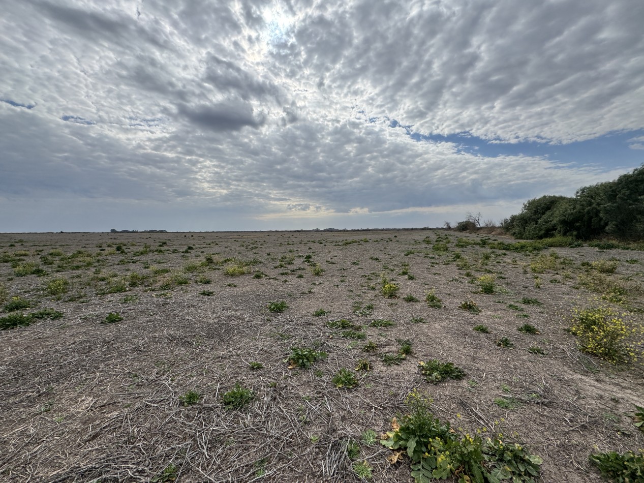VENTA - CAMPO SOBRE RUTA EN SEGUI 