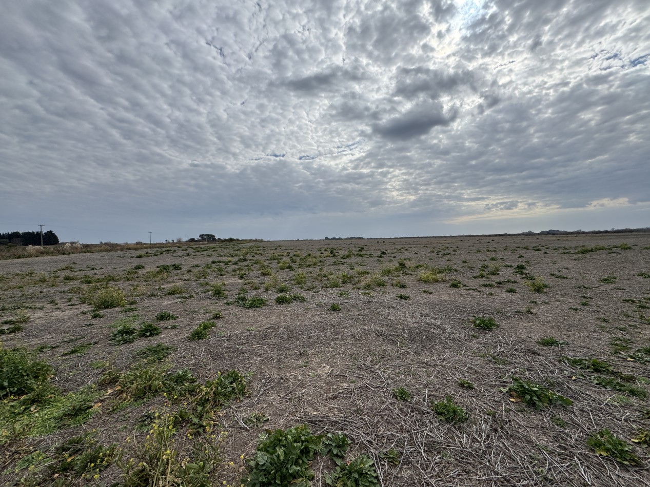 VENTA - CAMPO SOBRE RUTA EN SEGUI 