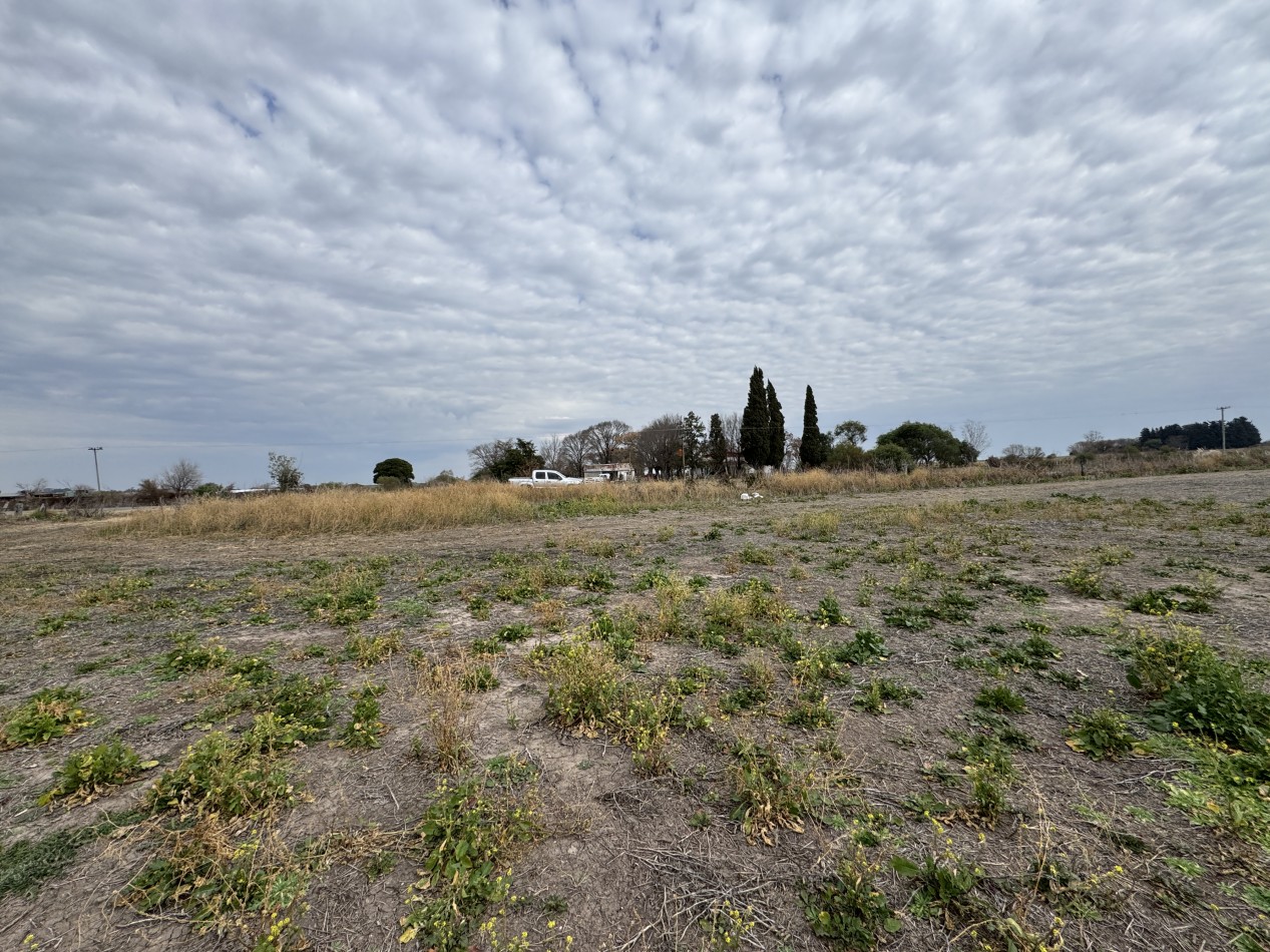 VENTA - CAMPO SOBRE RUTA EN SEGUI 