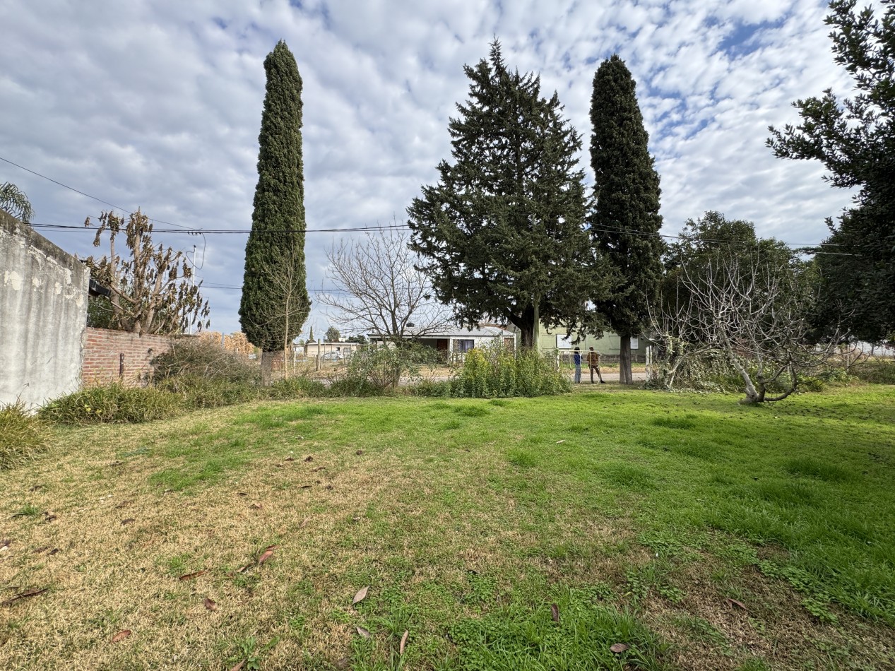 VENTA - TERRENO EN COLONIA AVELLANEDA