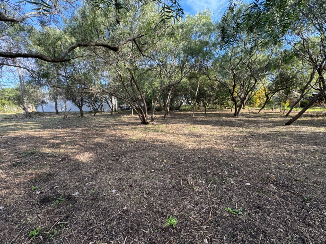 SE VENDE AMPLIO LOTE EN SAUCE MONTRULL 1770 m2