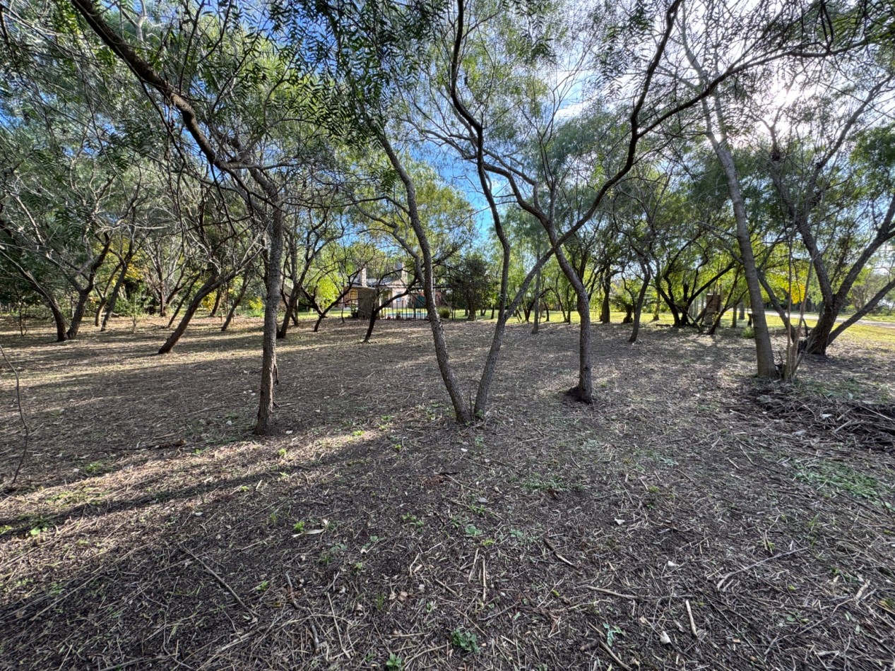 SE VENDE AMPLIO LOTE EN SAUCE MONTRULL 1770 m2