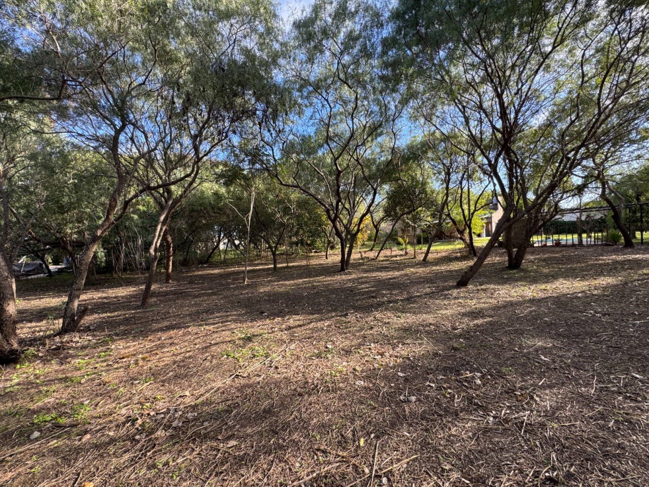 SE VENDE AMPLIO LOTE EN SAUCE MONTRULL 1770 m2