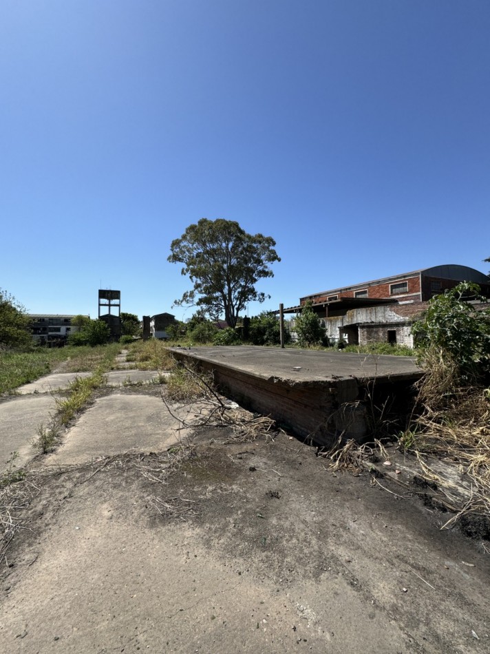 AMPLIO TERRENO SOBRE AV. ALMAFUERTE