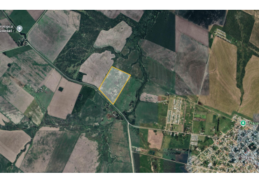 VENTA - CAMPO SOBRE RUTA EN SEGUI 